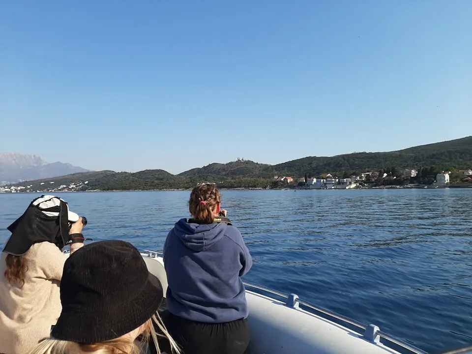 A boat survey in the eyes of our interns: Claudia
