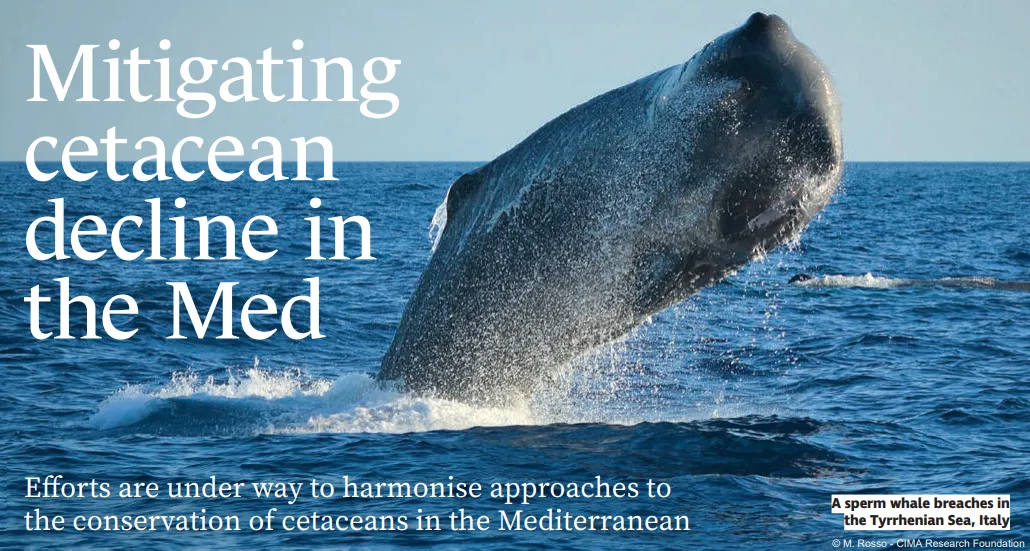 DMAD’s Analyst Patrick Lyne wrote for IMarEST Magazine