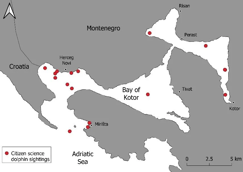 DMAD’s Article on the Decline of Dolphins in Montenegro Published in ACCOBAMS’ FINS Journal