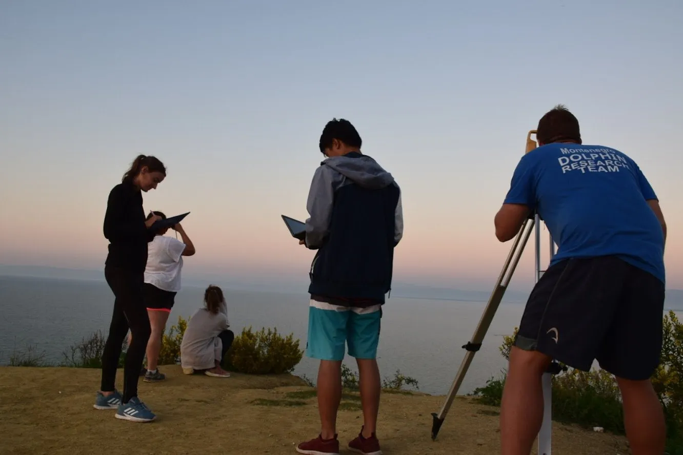 Albania Dolphin Research – October 2019