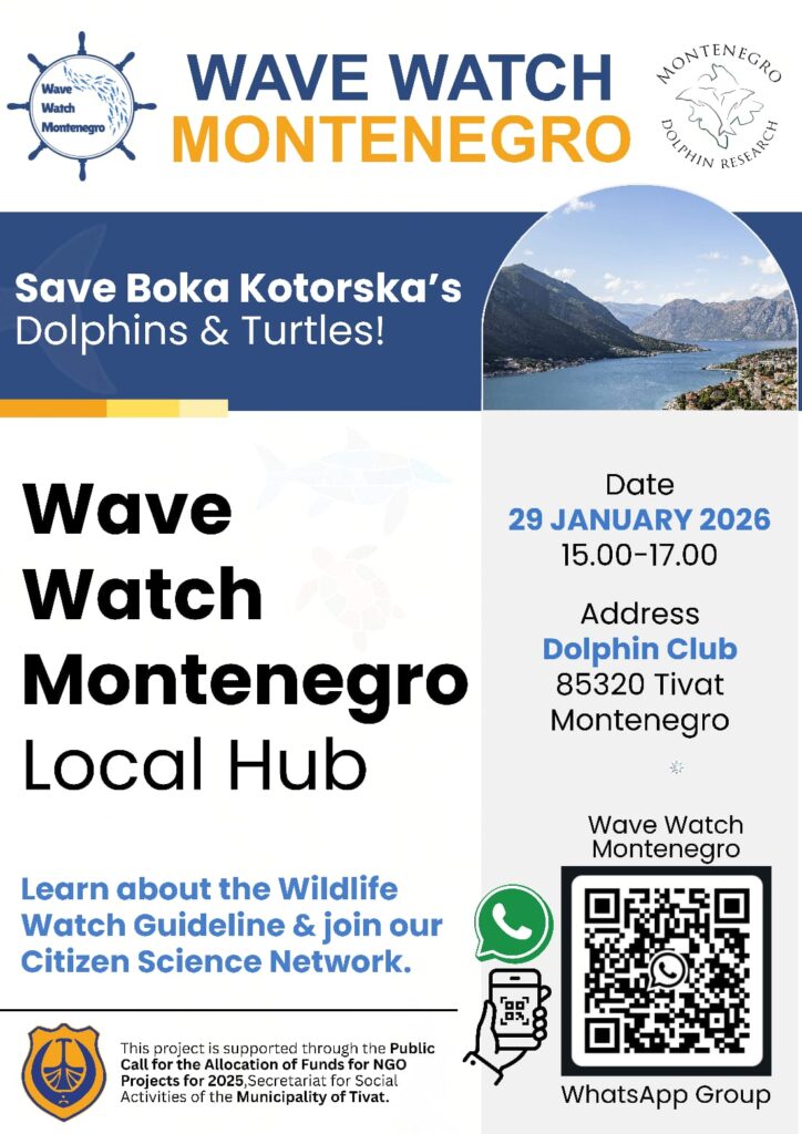 Wave Watch Montenegro Local Hub
