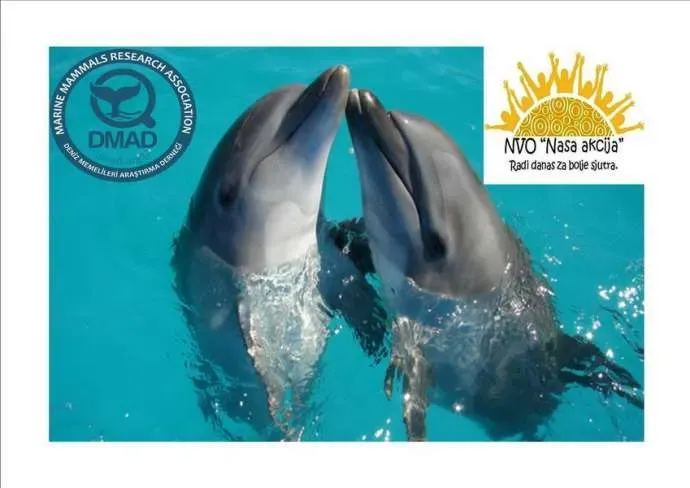 Marine Mammals Research Association and Kotor’s Naša Akcija Sign Cooperation Agreement