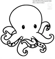 Drawing+Octopus-1920w