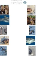 Draw+the+line+Other+halve+Animals+1-1920w Draw+the+line+Other+halve+Animals+1-1920w