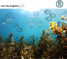 Find+the+Dolphin-1920w Find+the+Dolphin-1920w