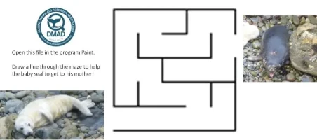 Maze+Baby+seal+(4-6years)-1920w Maze+Baby+seal+(4-6years)-1920w