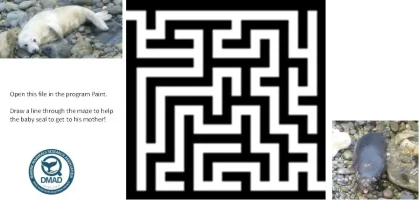 Maze+Baby+seal+(6-8years)-1920w Maze+Baby+seal+(6-8years)-1920w