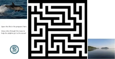 Maze+Dolphin+Ocean+(6-8years)-1920w Maze+Dolphin+Ocean+(6-8years)-1920w