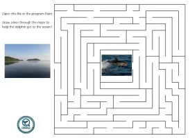 Maze+Dolphin+Ocean+(8years)-1920w Maze+Dolphin+Ocean+(8years)-1920w
