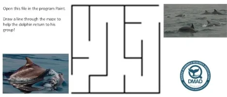 Maze+Dolphin+group+(4-6years)-1920w Maze+Dolphin+group+(4-6years)-1920w