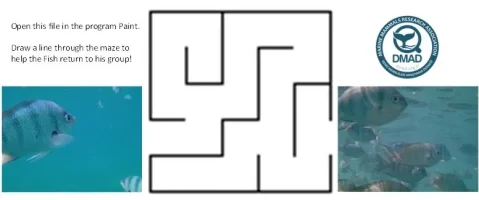 Maze+Fish+group+(4-6years)-1920w Maze+Fish+group+(4-6years)-1920w