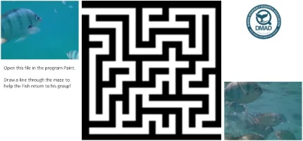 Maze+Fish+group+(6-8years)-1920w Maze+Fish+group+(6-8years)-1920w