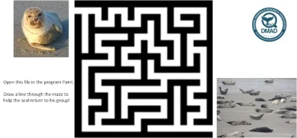 Maze+Seal+group+(6-8years)-1920w Maze+Seal+group+(6-8years)-1920w