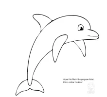 colour+dolphin2-1920w