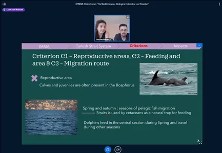 DMAD at ICYMARE Online Conference with Two Presentations